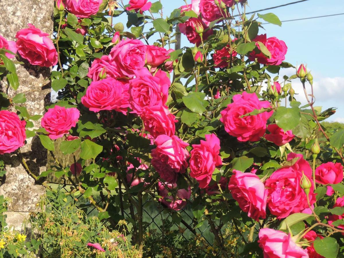 Le Chemin Bed & Breakfast Challignac Екстериор снимка